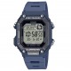 WS-B1000-2a