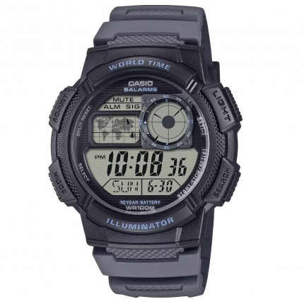 AE-1000W-8A